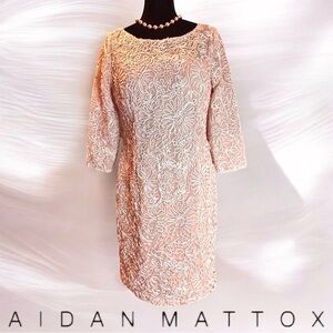 AIDAN MATTOX Soutache Mesh
Bateau Neckline Mini Blush Dress Sz 12